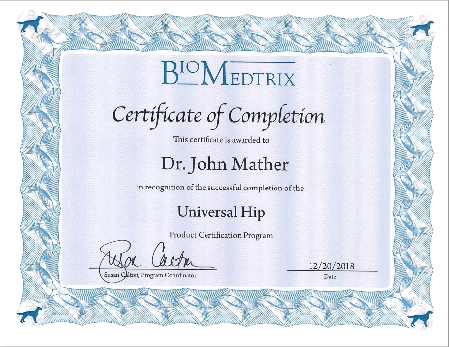 Total Hip Replacement – BioMedtrix